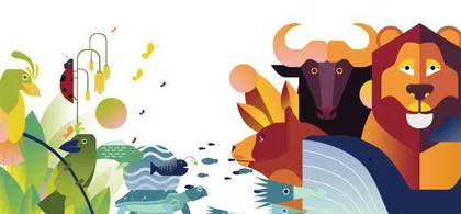 保护多样生物呵护地球家园