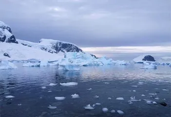 地球危机：物种多样性消失4