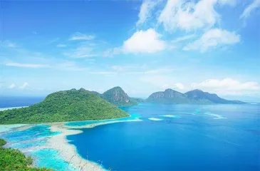 海岛生态奇迹：生物多样性的宝库