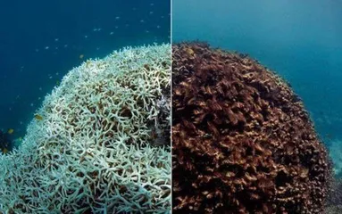 极端气候频发，是洋流惹的祸？3