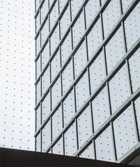 熄灯,让候鸟安全回家2