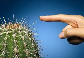 触觉：沟通自我与世界