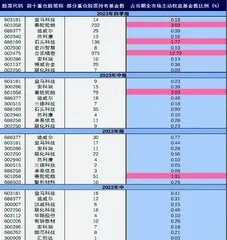 诺安基金杨谷投资思路解析1