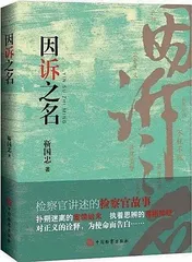 《因诉之名》:检察官笔下的正义与坚守2
