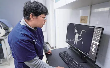 猛禽康复师的放飞故事8