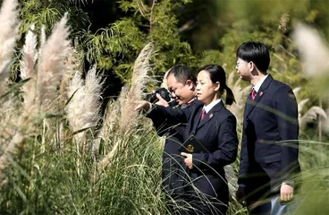 刘玲:与公益诉讼共成长2