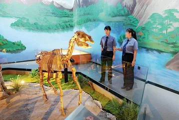 不法分子盯上山沟里的“土龙骨”1