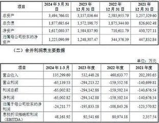 芯联集成:IPO募资逾90亿元一年后又计划定增1
