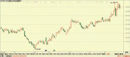 机构荐股:东方财富、中兴通讯、炬华科技2