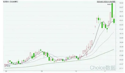 恒润股份:算力租赁打开新增长极 风电主业有望迎来拐点1