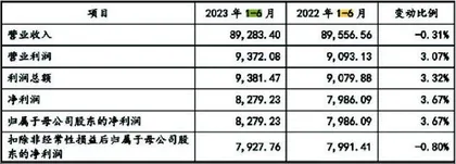 星德胜:陷入劳务纠纷业绩增长停滞1