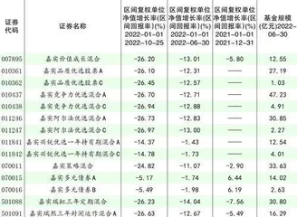 嘉实基金:痴迷高位发新两员“大将”折戟1