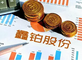 鑫铂股份:新能源汽车铝部件打造第二增长极1