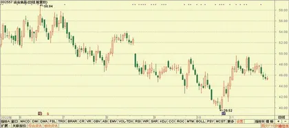 股神榜:迪普科技、元琛科技、洽洽食品4