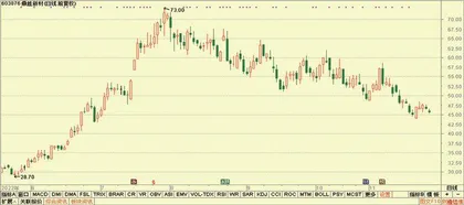 股神榜:迪普科技、元琛科技、洽洽食品9
