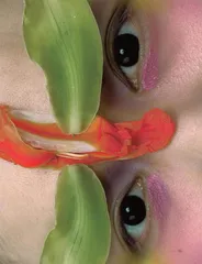 盎然春意5