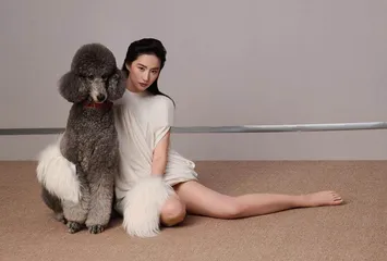 刘亦菲:致热烈与不完美的刺3