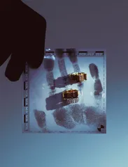 蛛丝马迹5