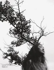 自然物语5