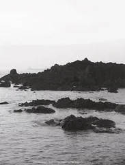 自然物语9