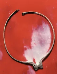 透现永续之美6