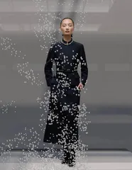 有序混沌1