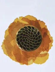 不凡凝想