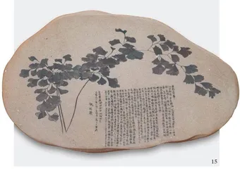 童文敏:非常规光合作用2