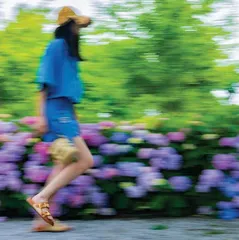 自然之美8