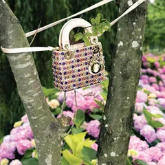 自然之美9