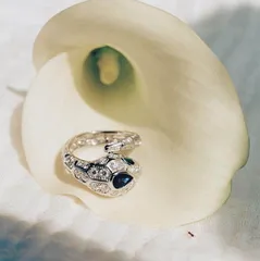 自然之美26