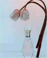 微香如诉