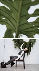 阿雅:心灵净化之路2