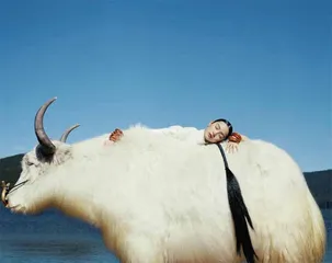 寻梦化境13