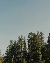 寻梦化境22