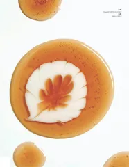 配方的艺术1