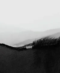 寻梦化境6