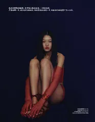 我的名字叫红4
