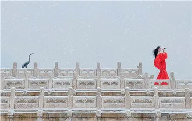 四时流金美美与共25