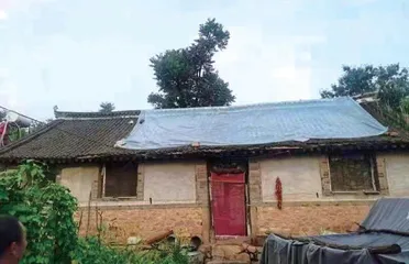 丈夫盗伐林木后,她成了护林宣传员2