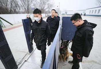 我的警犬战友7
