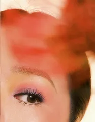 与花共舞1