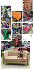 我们爱上了捡垃圾2