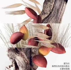 记忆的花园1