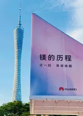 灵动优雅1