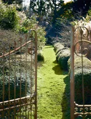 向花而行2