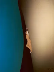 王雯琴：观看与生活4