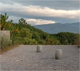 林间微光10