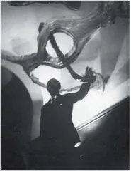 第四维3