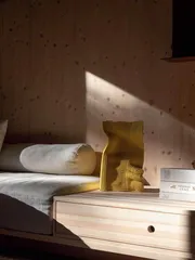 斯德哥尔摩　遁迹森林9